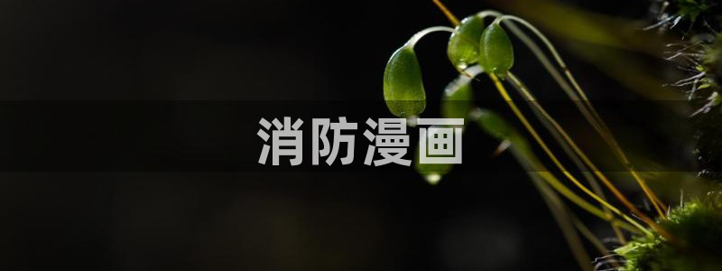 无意鸟之全彩漫画下拉式奇漫屋：消防漫画