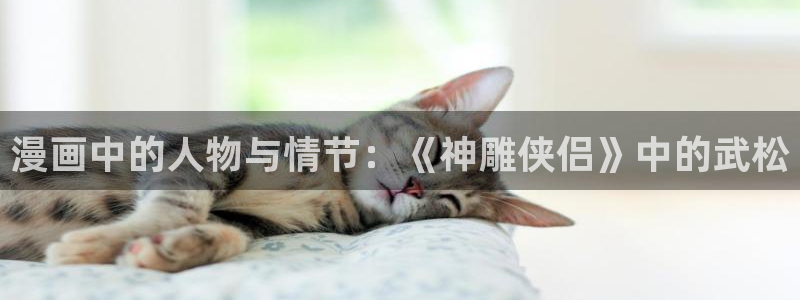 大王饶命漫画免费观看下拉式奇漫屋：漫画中的人物与情节：《神雕侠侣》中的武松