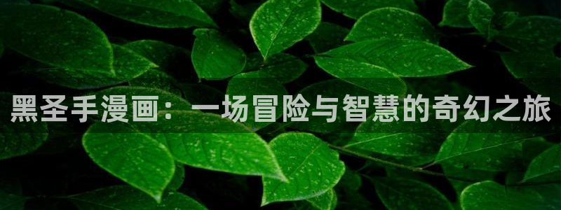 (下拉式)六漫画奇漫屋：黑圣手漫画：一场冒险与智慧的奇幻之旅