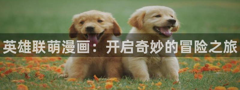 奇漫屋官方免费入口