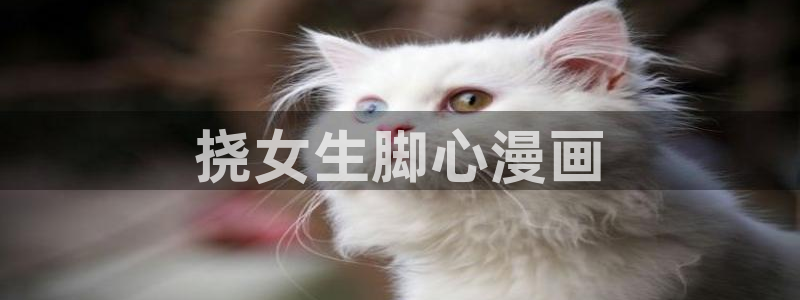 诚信守则漫画下拉式漫画奇漫屋